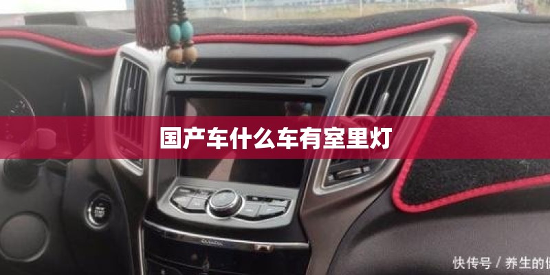国产车什么车有室里灯 国产车什么车有室里灯