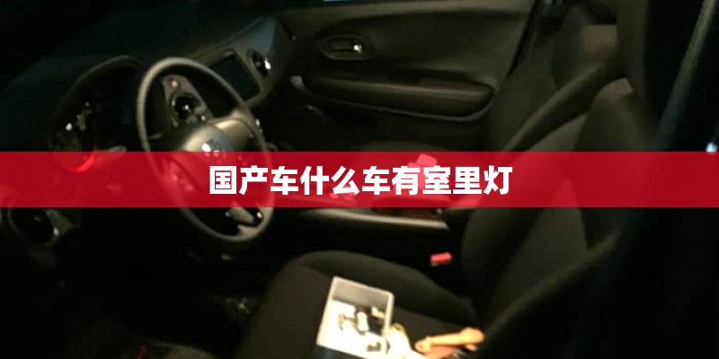 国产车什么车有室里灯 国产车什么车有室里灯