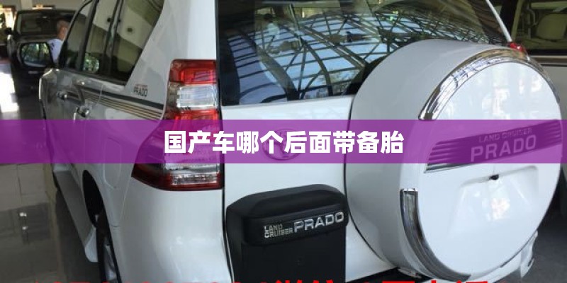 国产车哪个后面带备胎
