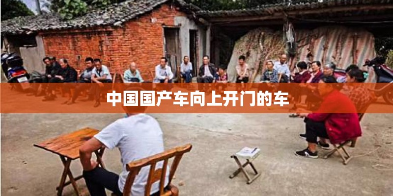 中国国产车向上开门的车 中国国产车向上开门的车