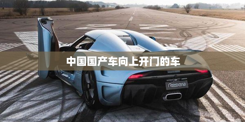 中国国产车向上开门的车 中国国产车向上开门的车