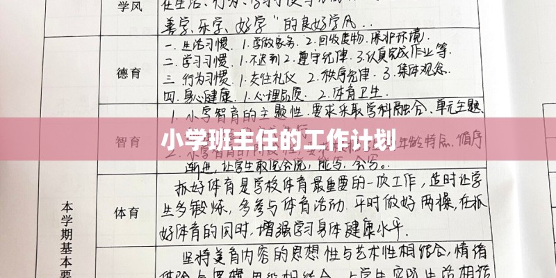小学班主任的工作计划 小学班主任的工作计划