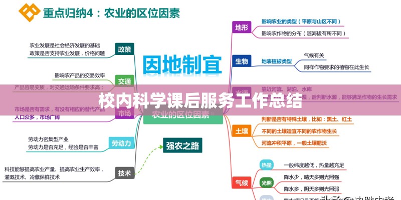 校内科学课后服务工作总结