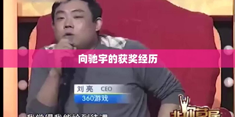 向驰宇的获奖经历 向驰宇的获奖经历