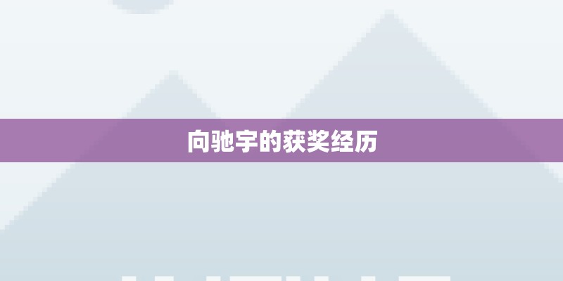 向驰宇的获奖经历 向驰宇的获奖经历