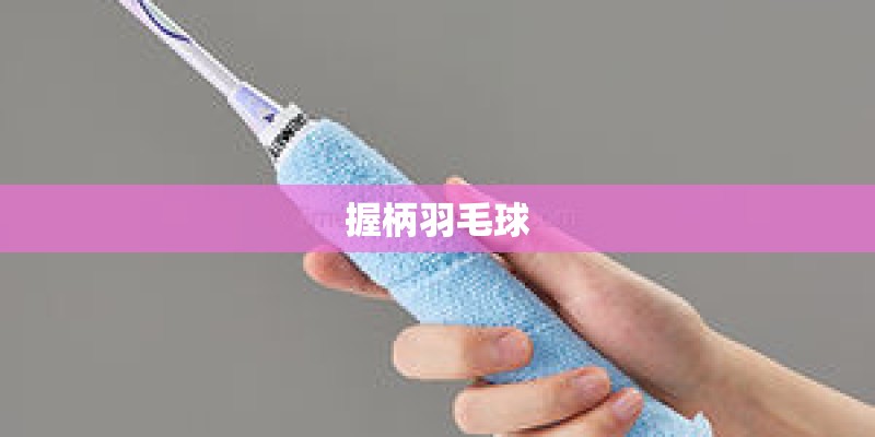 握柄羽毛球