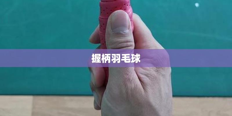 握柄羽毛球