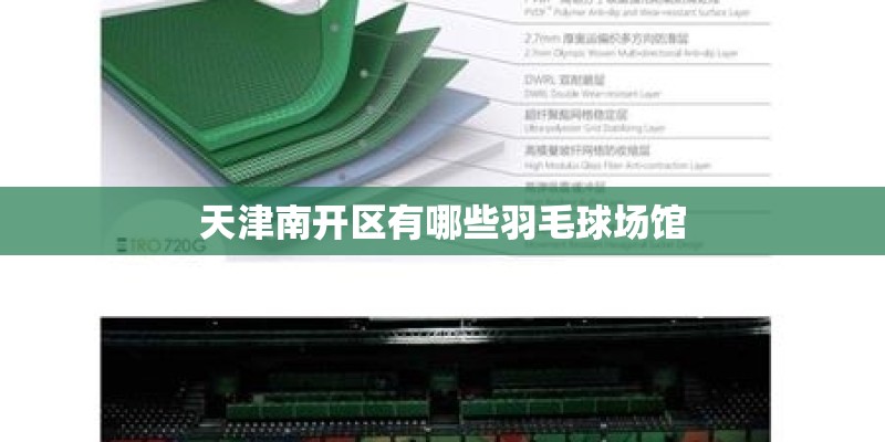 天津南开区有哪些羽毛球场馆 天津南开区有哪些羽毛球场馆