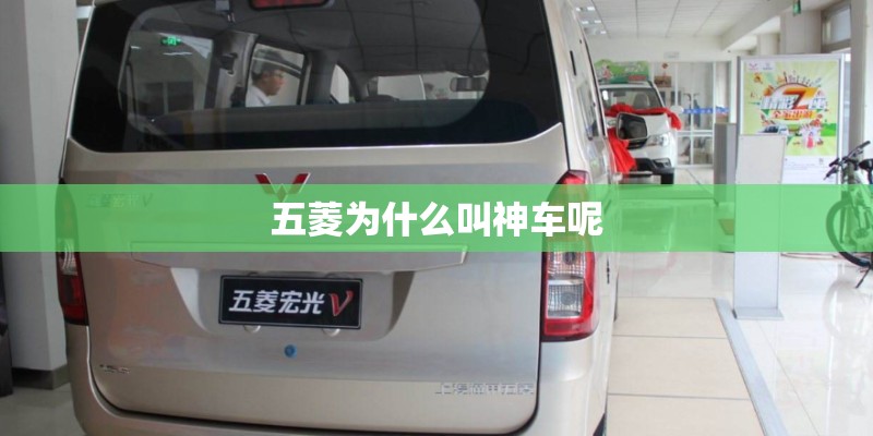 五菱为什么叫神车呢