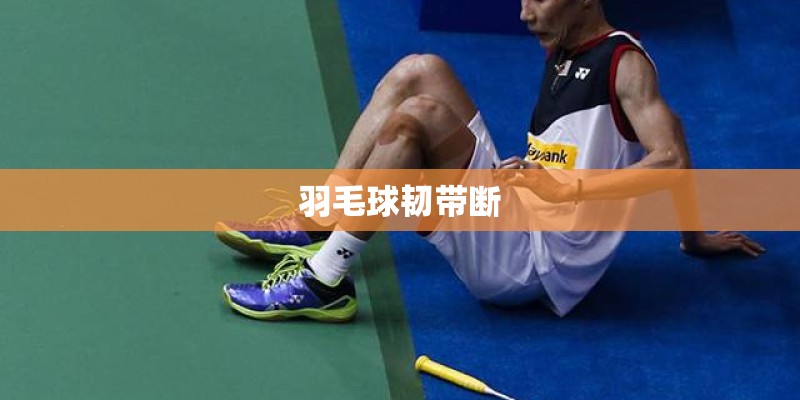 羽毛球韧带断