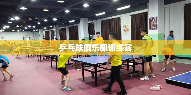 乒乓球俱乐部训练赛