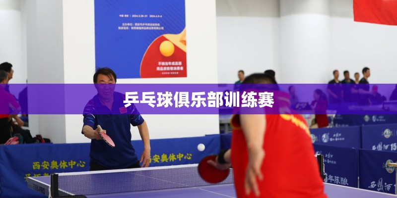 乒乓球俱乐部训练赛 乒乓球俱乐部训练赛