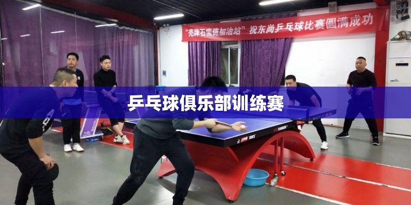 乒乓球俱乐部训练赛 乒乓球俱乐部训练赛