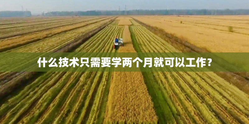 什么技术只需要学两个月就可以工作? 什么技术只需要学两个月就可以工作?