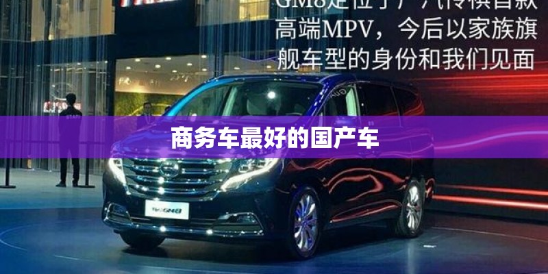 商务车最好的国产车 商务车最好的国产车