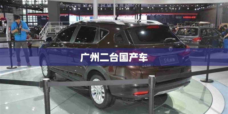 广州二台国产车 广州二台国产车