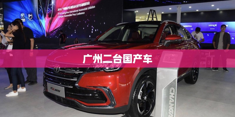 广州二台国产车 广州二台国产车