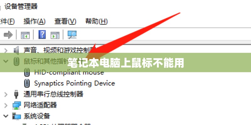 笔记本电脑上鼠标不能用