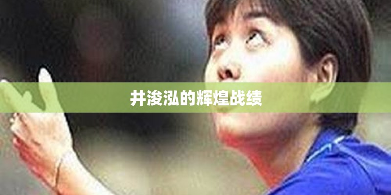 井浚泓的辉煌战绩 井浚泓的辉煌战绩