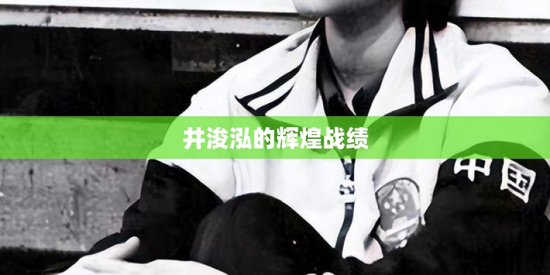 井浚泓的辉煌战绩 井浚泓的辉煌战绩
