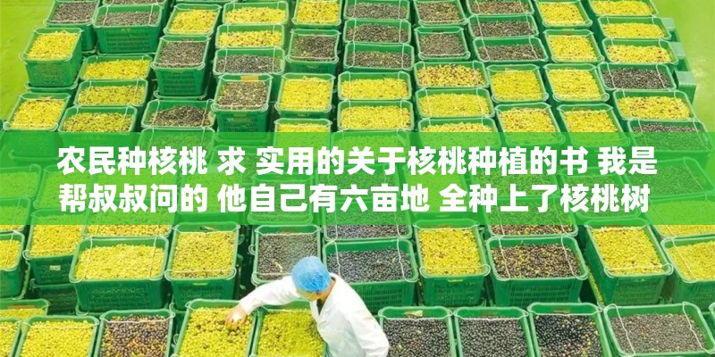 农民种核桃 求 实用的关于核桃种植的书 我是帮叔叔问的 他自己有六亩地 全种上了核桃树 是土生土长的农民