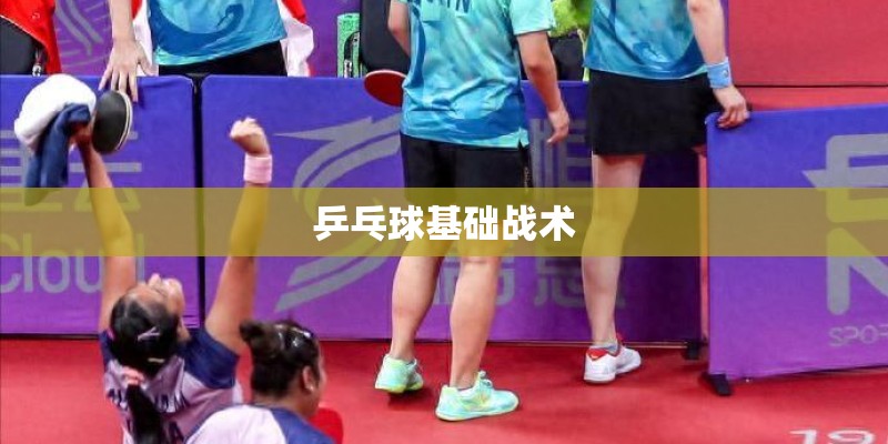 乒乓球基础战术 乒乓球基础战术