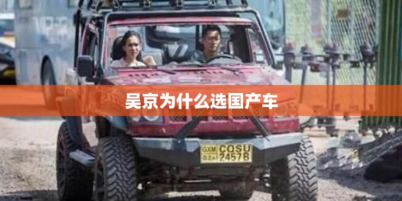 吴京为什么选国产车