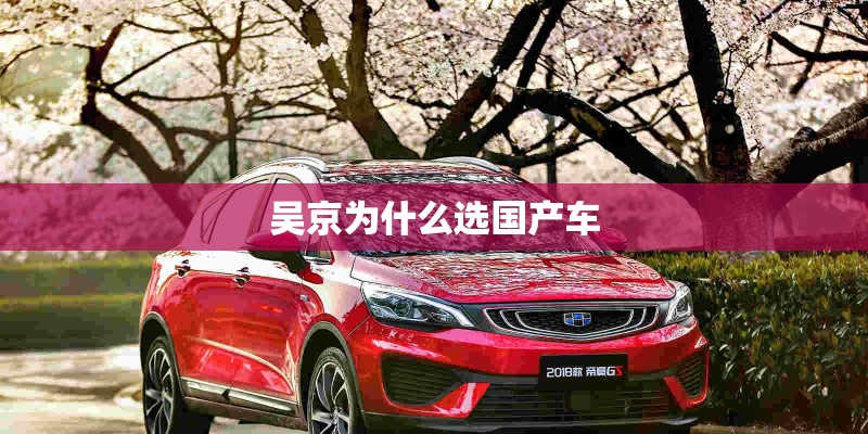 吴京为什么选国产车 吴京为什么选国产车
