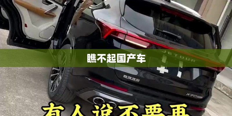瞧不起国产车 瞧不起国产车