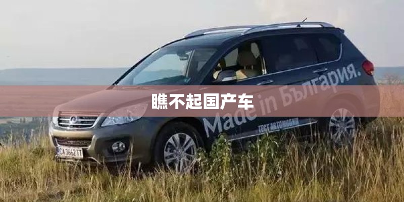 瞧不起国产车 瞧不起国产车