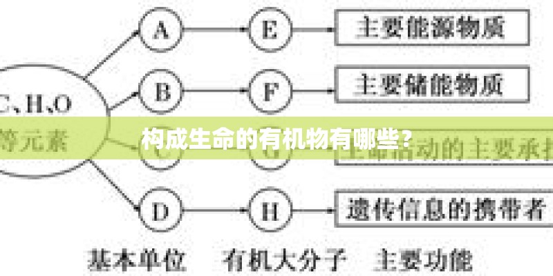 构成生命的有机物有哪些? 构成生命的有机物有哪些?