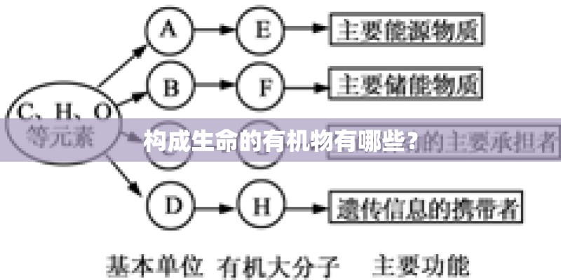 构成生命的有机物有哪些? 构成生命的有机物有哪些?