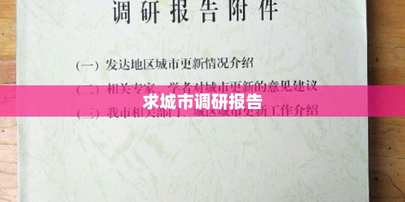 求城市调研报告