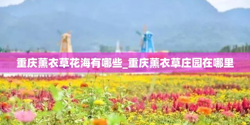 重庆薰衣草花海有哪些_重庆薰衣草庄园在哪里