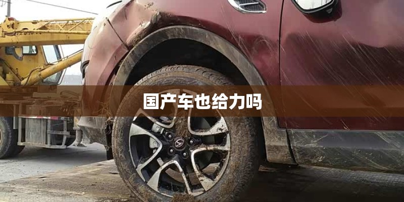 国产车也给力吗