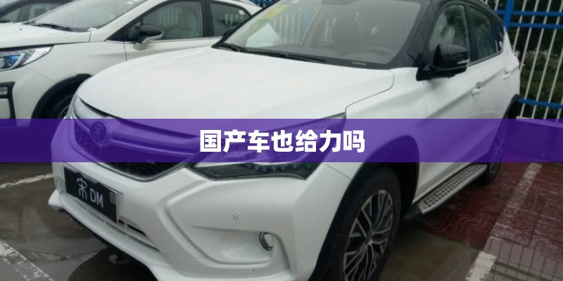 国产车也给力吗