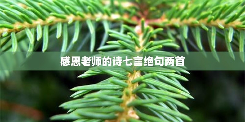 感恩老师的诗七言绝句两首