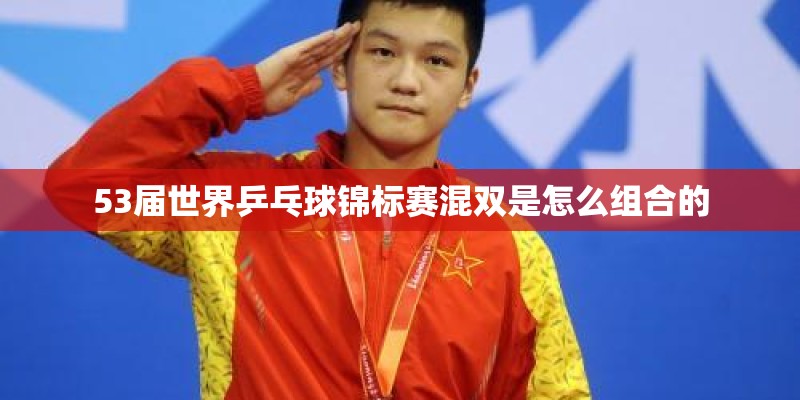 53届世界乒乓球锦标赛混双是怎么组合的