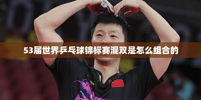 53届世界乒乓球锦标赛混双是怎么组合的
