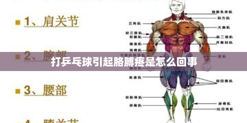 打乒乓球引起胳膊疼是怎么回事