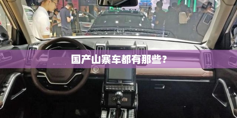国产山寨车都有那些？
