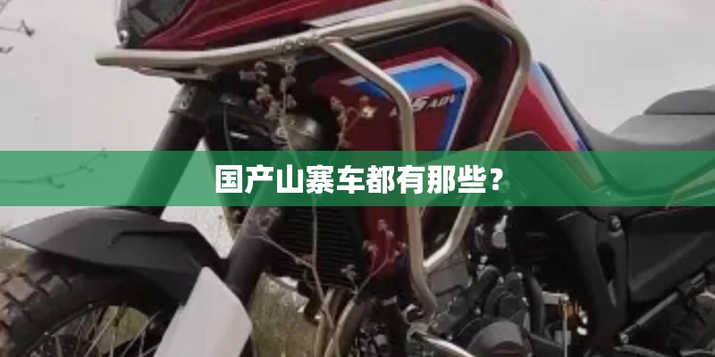 国产山寨车都有那些？
