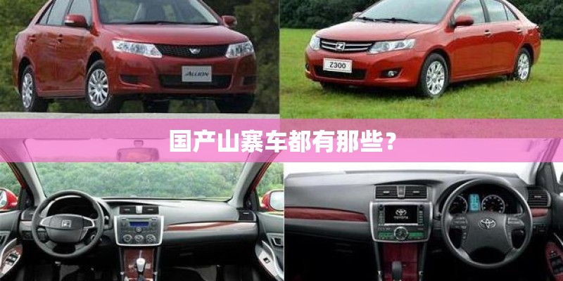 国产山寨车都有那些？