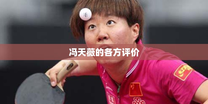 冯天薇的各方评价