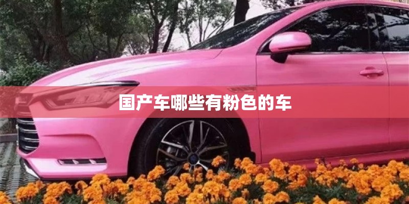 国产车哪些有粉色的车
