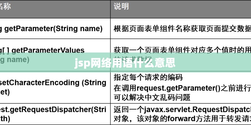 jsp网络用语什么意思