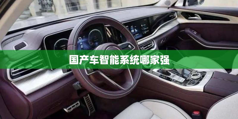 国产车智能系统哪家强