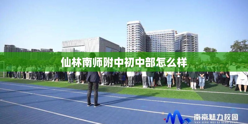 仙林南师附中初中部怎么样