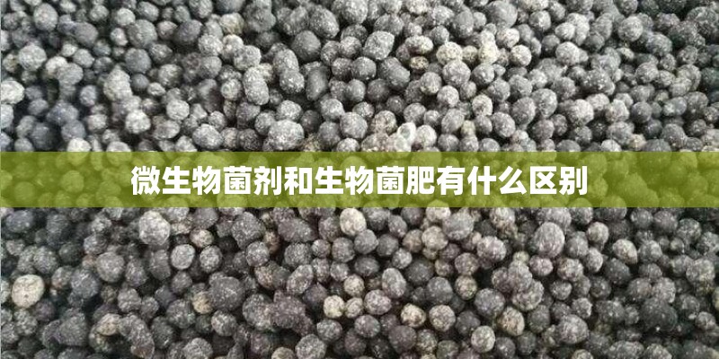 微生物菌剂和生物菌肥有什么区别