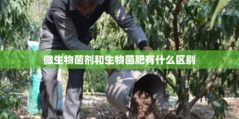 微生物菌剂和生物菌肥有什么区别